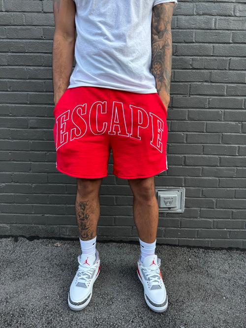“Last Minute” Reversible shorts